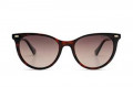 Солнцезащитные очки POLAROID CORE 4107/S 08652LA